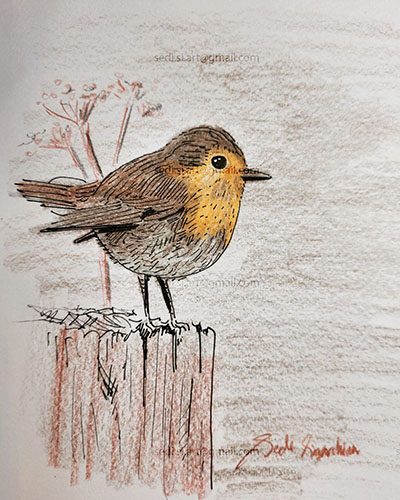 a bird sitting on a tree trunk
