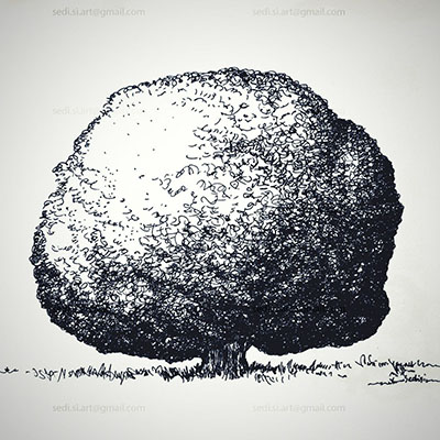 a drowing of a tree